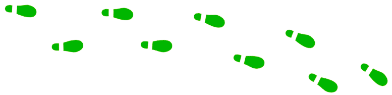 universe-group steps