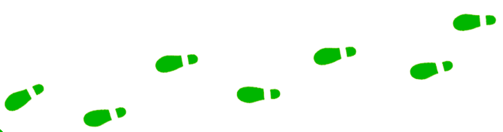 universe-group steps