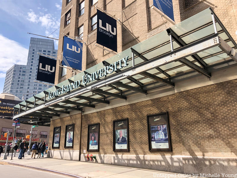 Long Island University (LIU)